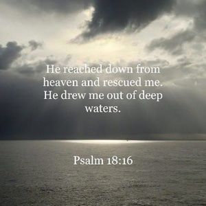 Meet your Posher, Ann